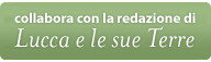 collabora con la redazione di Lucca e le sue terre