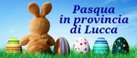 banner pasquale