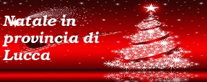 banner Natale